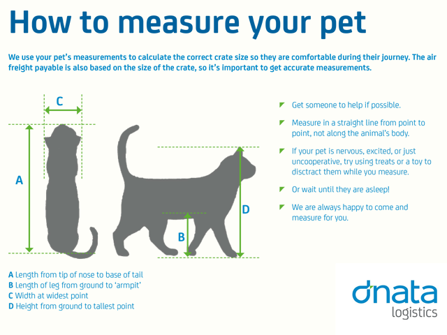 How to measure